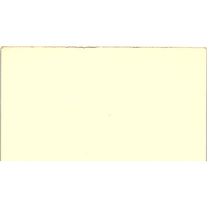 Cakes By Eileen Hamala Bakery Houston Vintage Business Card SD9-B6