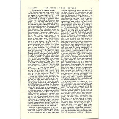 Fireweed in the Northwest W.L. Arant 3 Page Beekeeping Article 1926 AG3-9