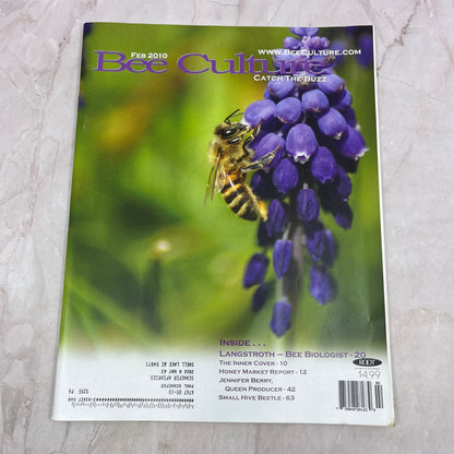 2010 Feb - Bee Culture Magazine - Bees Beekeeping Honey M32