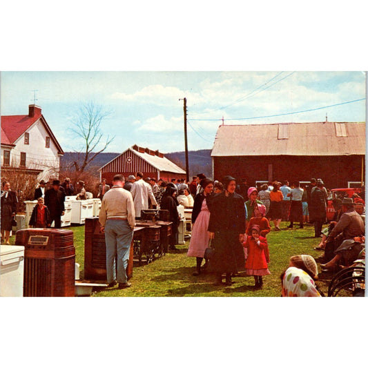 Amish Farm Sale Pennsylvania Dutch Country Vintage Postcard PD5
