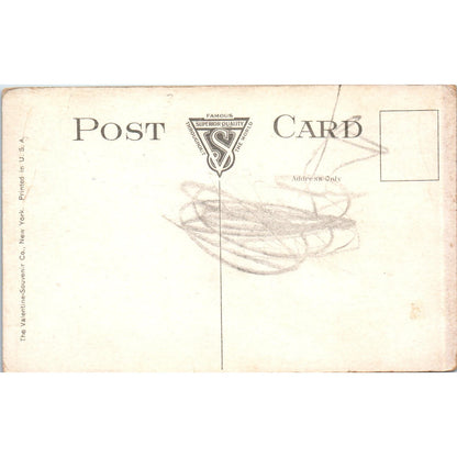 General View Looking East Ilion NY Vintage Original Postcard PC9