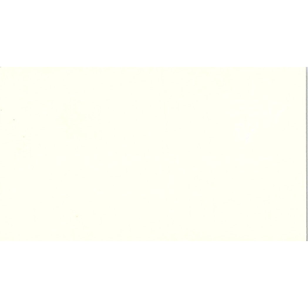 Texas Marine & Industrial Supply Tommy Gooch Houston TX  Business Card SB4-B11