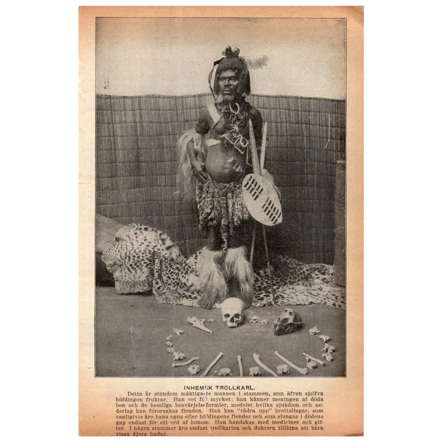 Zulu Witch Doctor 1909 Swedish Engraving Print AF5-17