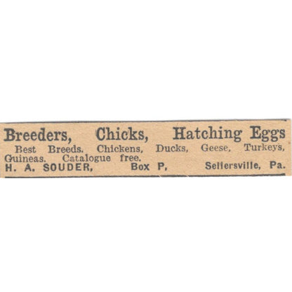 H.A. Souder Breeders Chicks Egg Sellersville PA 1922 Magazine Ad AF2-T1