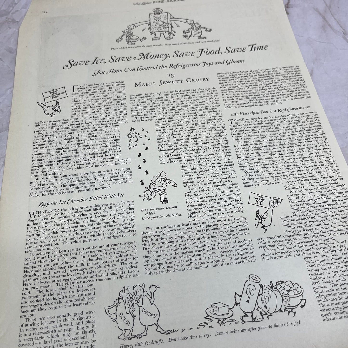 Save Ice, Save Money Electric Refrigerators Mabel Jewett Crosby 1924 Ad FL6-11