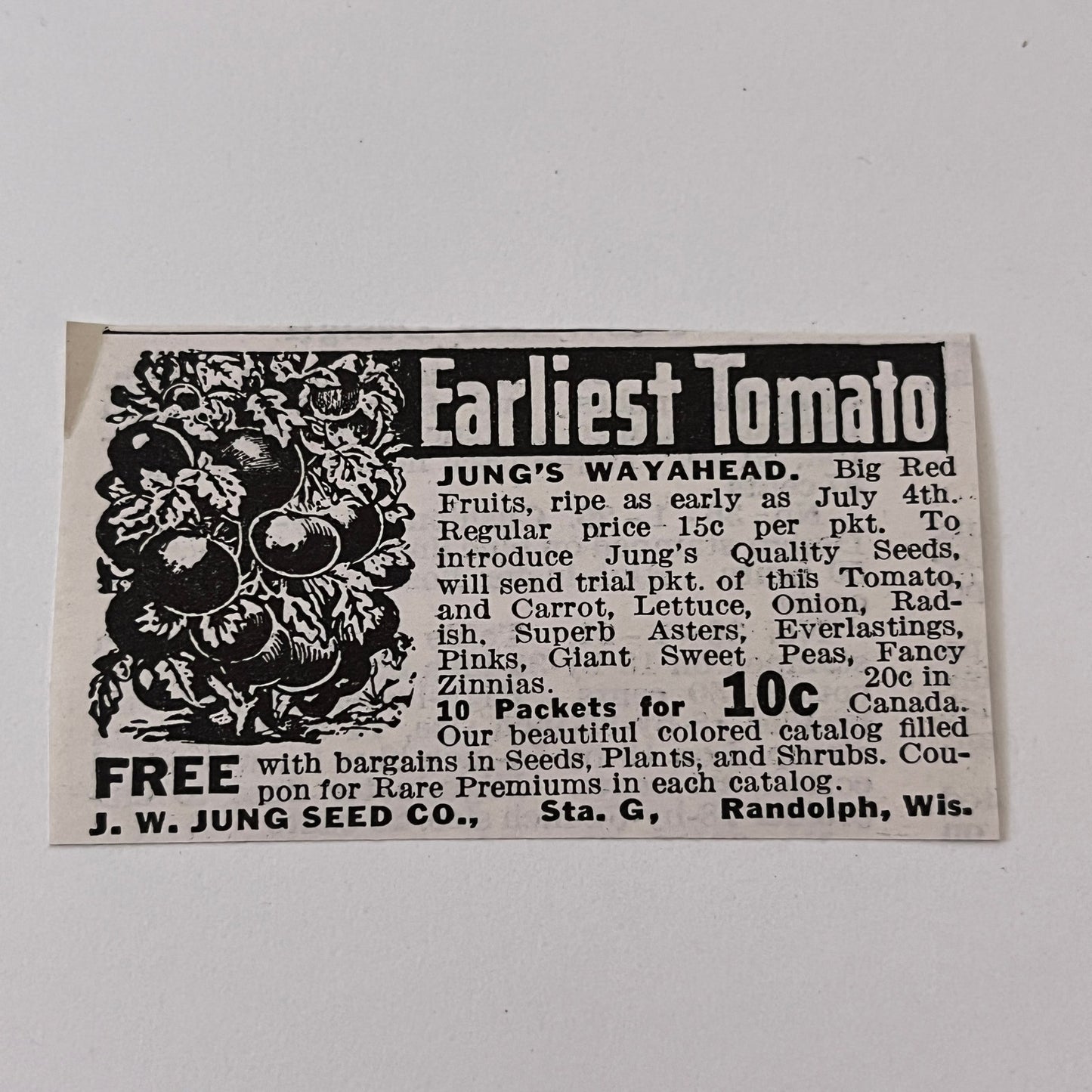 J.W. Jung Seed Co. Jung's Wayahead Randolph WI 1936 Ad SAG4-M4