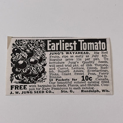 J.W. Jung Seed Co. Jung's Wayahead Randolph WI 1936 Ad SAG4-M4