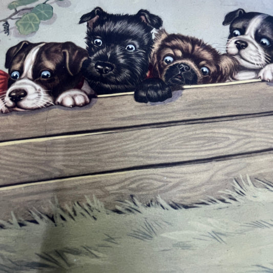 c1950 Kitsch Crate of Puppy Dogs Novotint Art Print Sidney Z. Lucas 9x12 FL6-3