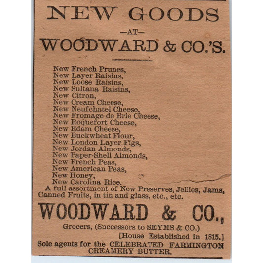 Woodward & Co Grocers 1886 Hartford CT Victorian Ad AB8-HT1