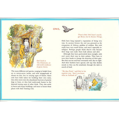 Vintage Winnie the Pooh - Owl Vintage Art Print 7.5x11 V6