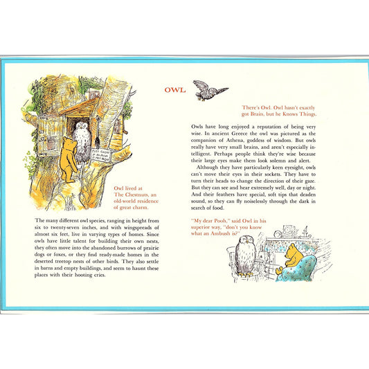 Vintage Winnie the Pooh - Owl Vintage Art Print 7.5x11 V6