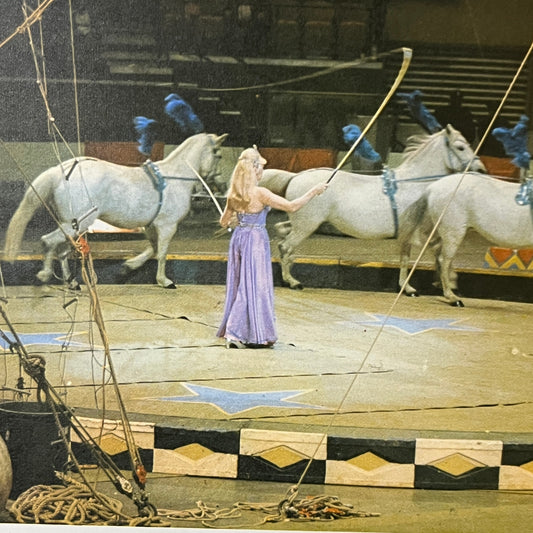 Vintage Woman Training Circus Horses Kitsch 6x8 Art Print V2