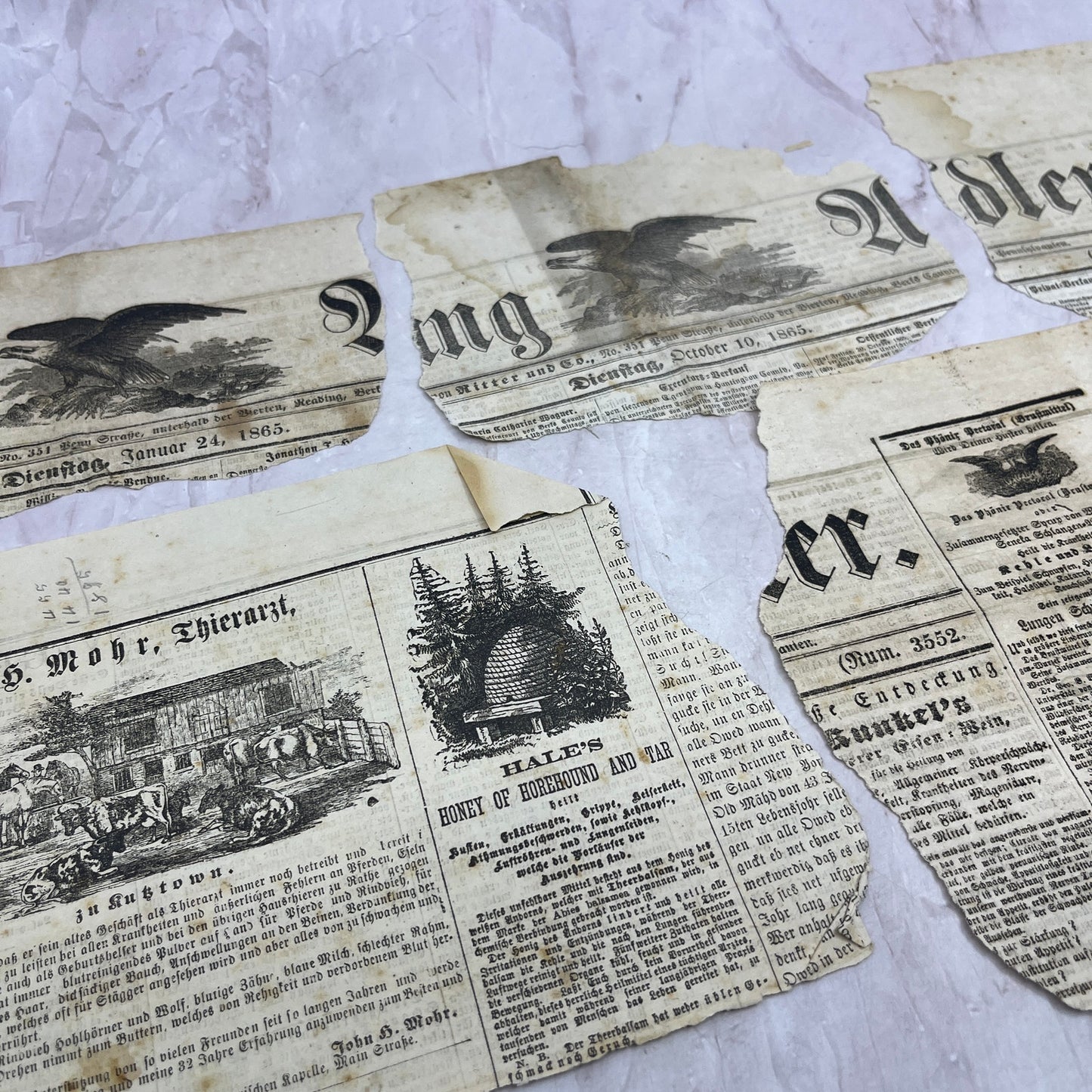 c1865 Lot of Original German Newspaper Clippings D22