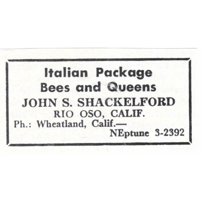 Italian Package Bees John S. Shackelford Rio Oso CA 1964 Magazine Ad AK6-S15