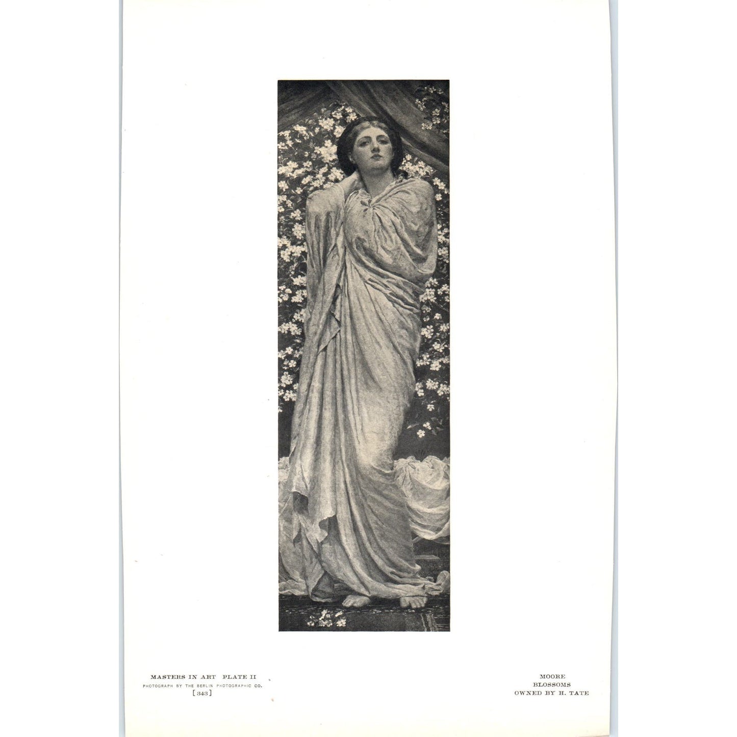Blossoms - Moore c1905 Art Print D14