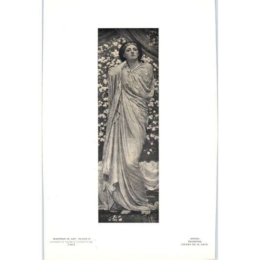 Blossoms - Moore c1905 Art Print D14