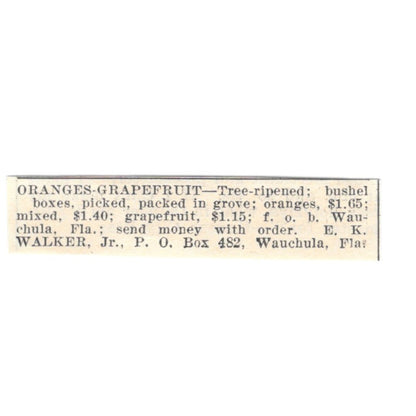 E.K. Walker Jr. Oranges, Grapefruit Wauchula Florida 1924 Ad AG3-S4