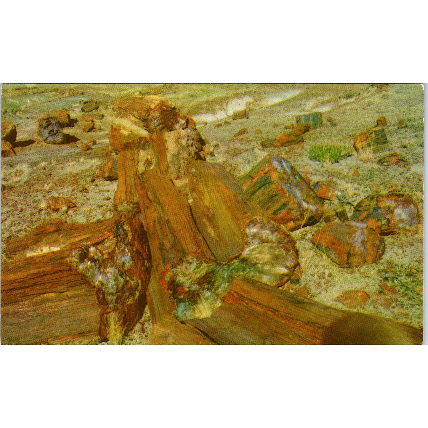 Petrified Forest National Monument Hwy 66 Northern Arizona Vintage Postcard PE3