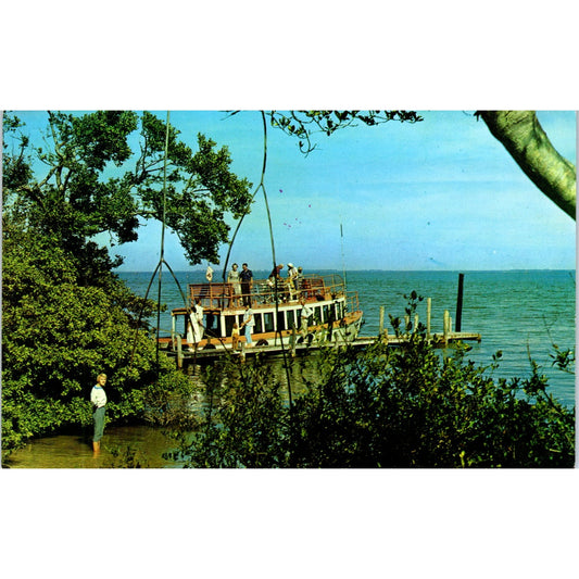 Mail Boat Serving Captiva & Sanibel Islands Florida Vintage Postcard PE4