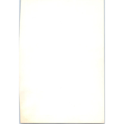 The Seven Joys of the Virgin - Memlinc c1905 Art Print D13
