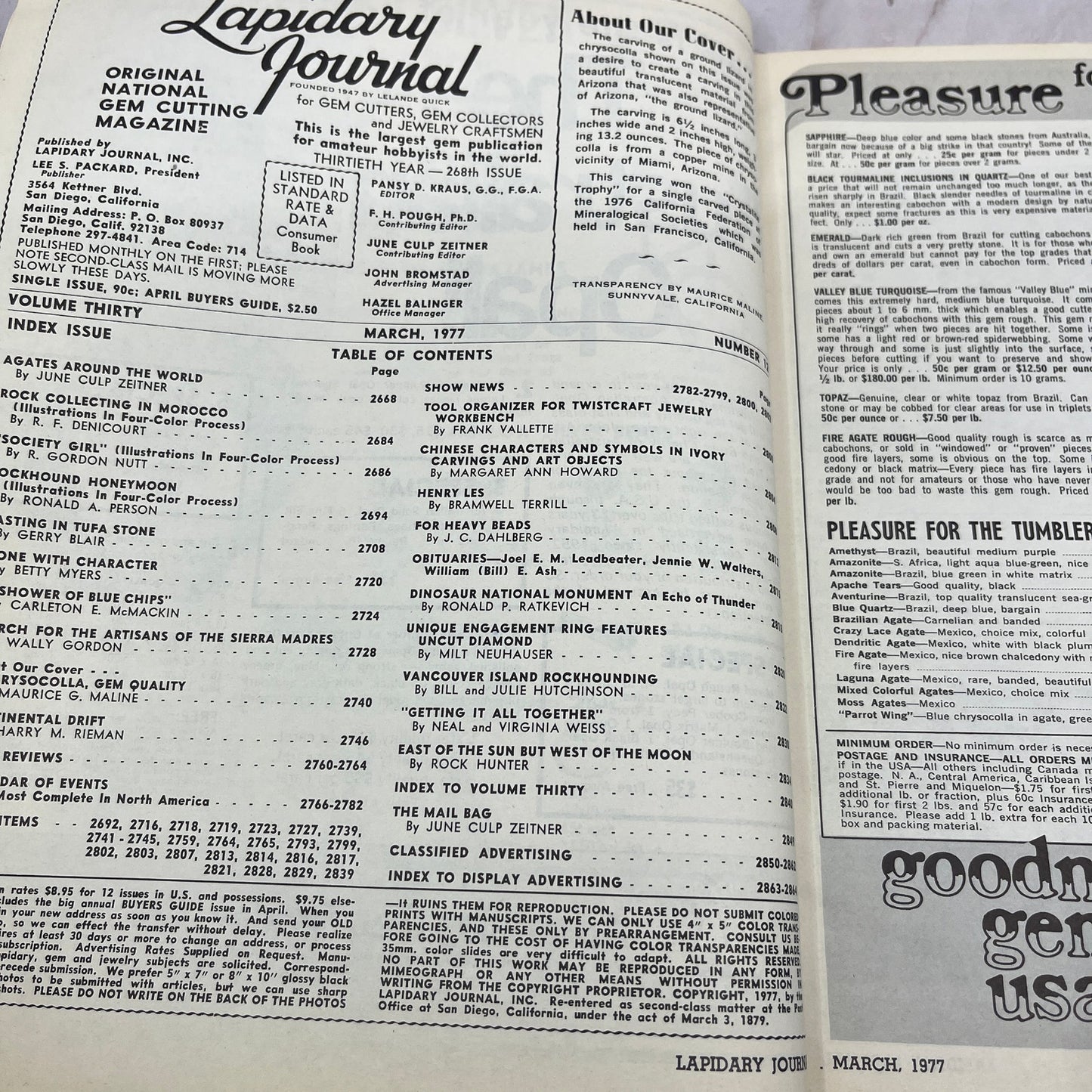 A Ground Lizard in Chrysocolla - Lapidary Journal Magazine - Mar 1977 M28