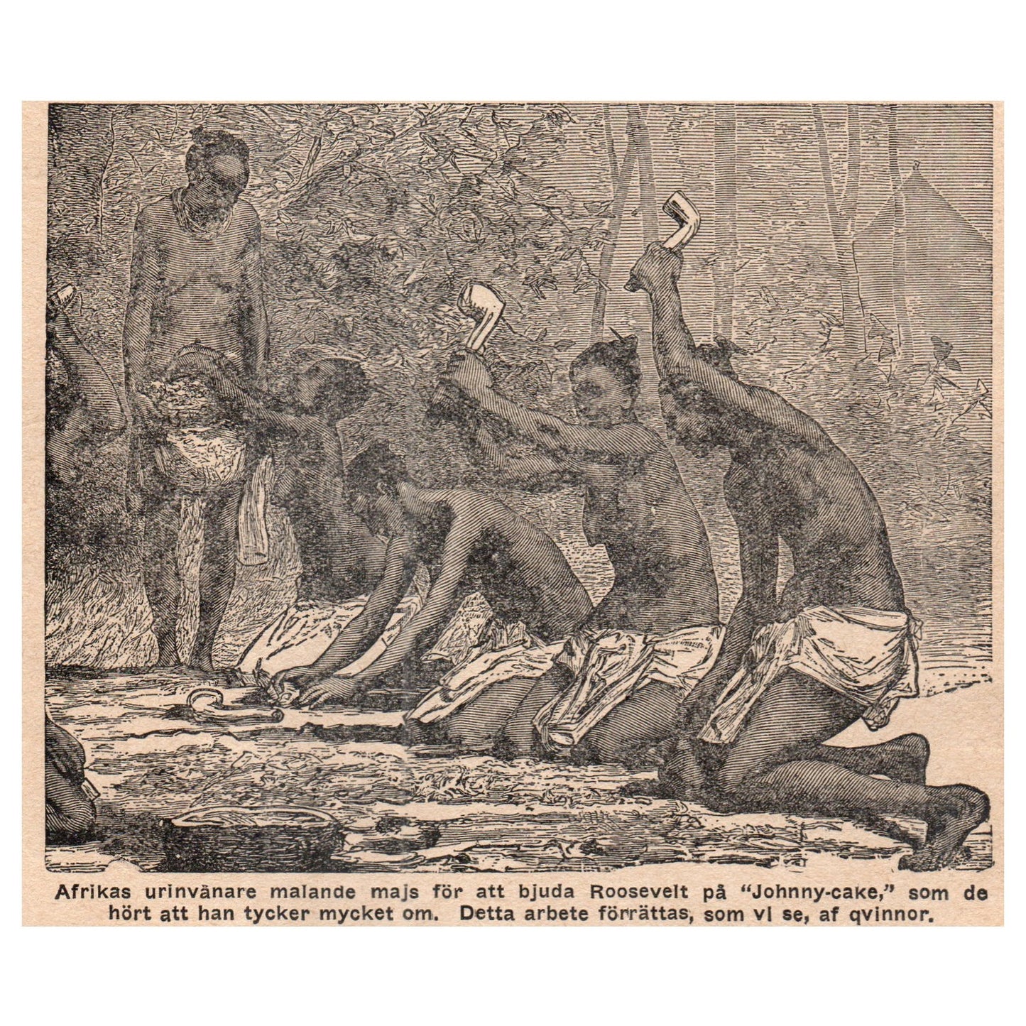Aborigines of Africa grind corn to offer Roosevelt Johnny-cake 1909 Print AF5-13