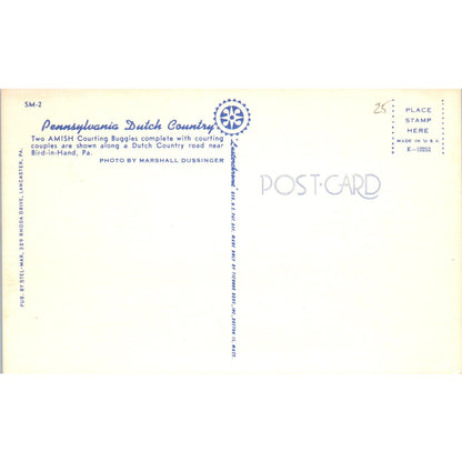 Two Amish Courting Buggies Pennsylvania Dutch Country Postcard PD7