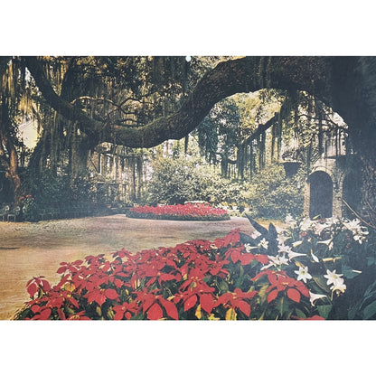 Bellingrath Gardens, Mobile, Alabama Lithograph 10x14" Art Print V22