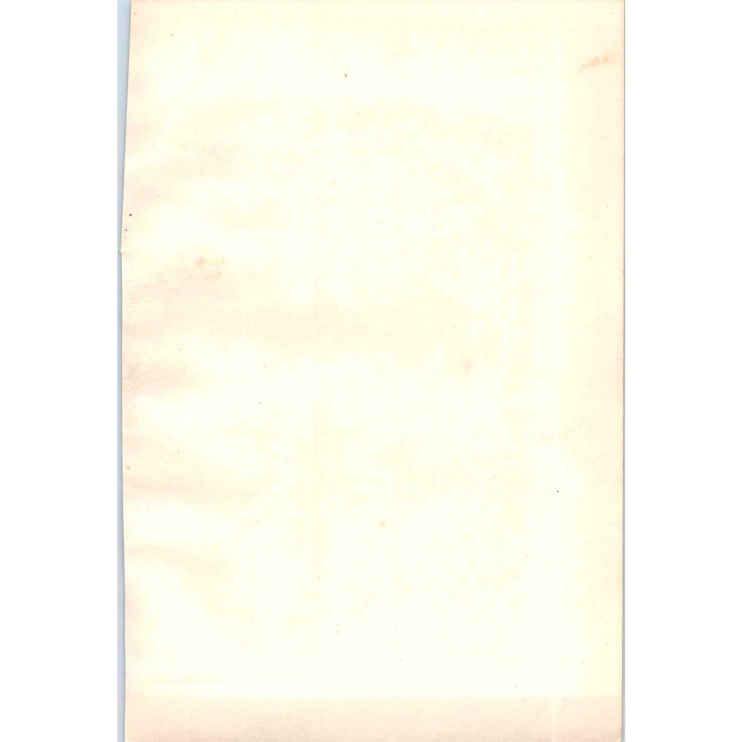 Black Redstart Bird 1903 Original Color Engraving Plate Print AD8-B8