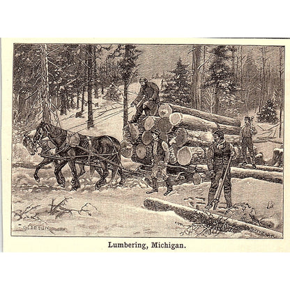 Horse-Drawn Lumber Cart in Michigan 3x4" 1901 Engraving AF6-M12