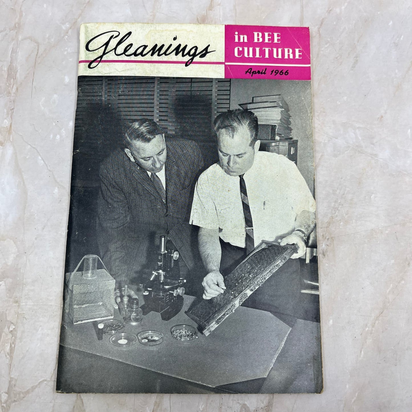 1966 April Gleanings in Bee Culture Magazine Bees Beekeeping Honey TD7