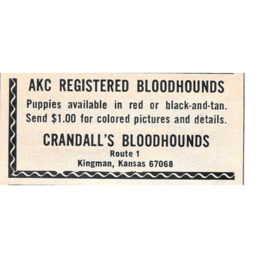 Crandall's AKC Registered Bloodhounds Kingman KS 1977 Ad AF6-S1