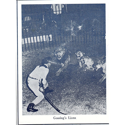 Gossing's Lions Mizpah Circus Fort Wayne Indiana 1964 Ad AG1-9