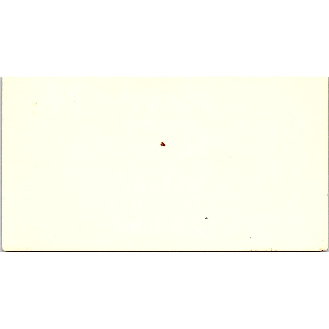 Mr. Peter's Tailoring Peter Staude Long Beach CA Vintage Business Card SB4-B11