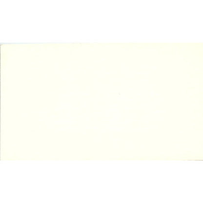 Startbrite Service Gen. Maintenance Mike Vintage Business Card SB4-B1