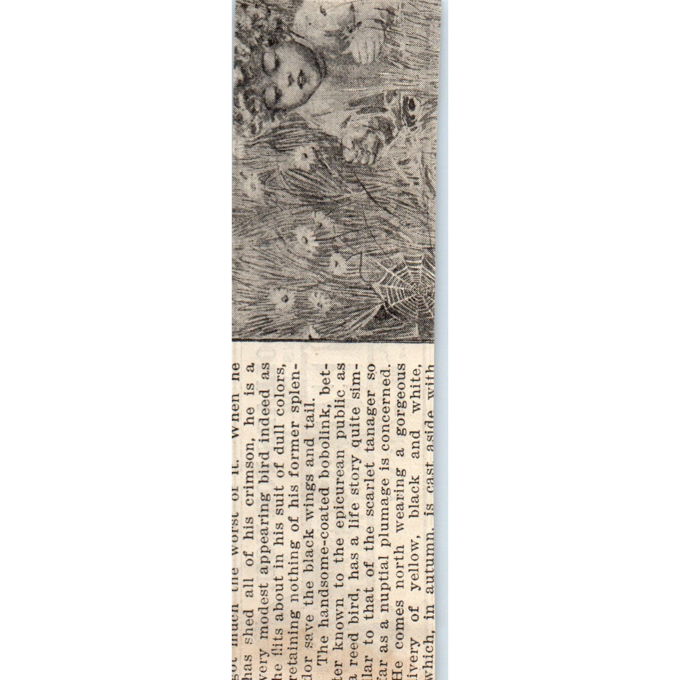 Empire Cream Separator Bloomfield NJ 1905 Magazine Ad AF1-NH1