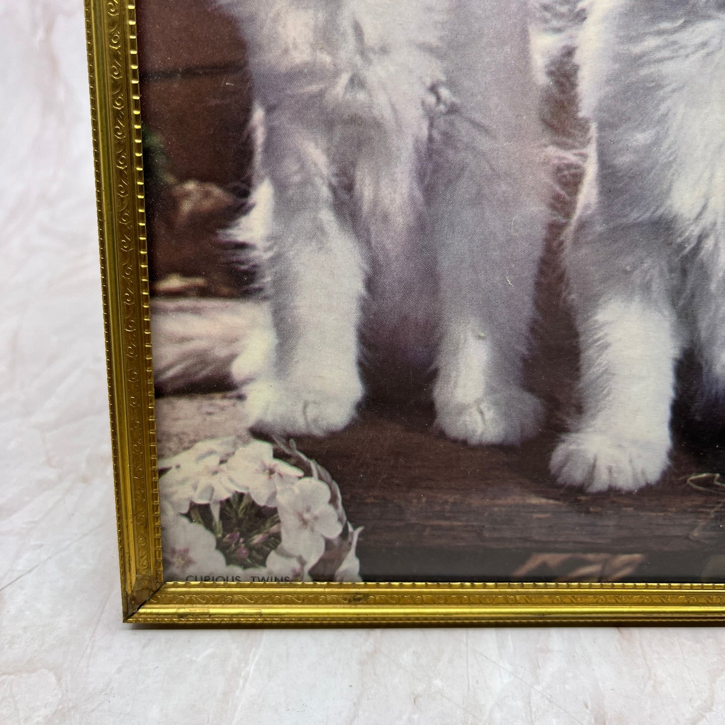 Vintage Kitschy Framed Picture of 2 White Kittens Cats 7x9" Ti5