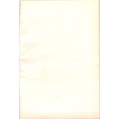 Redshank Bird 1903 Original Color Engraving Plate Print AD8-B8