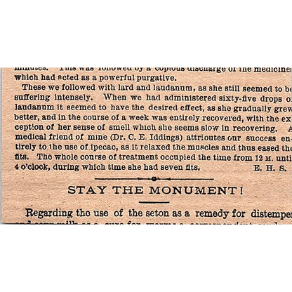 Dec 1878 Alexandra Palace Dog Show London England 1878 Article AG2-M8