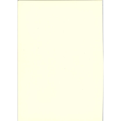 The Magdalen - Crivelli - 1908 Litho Art Print AF4-8