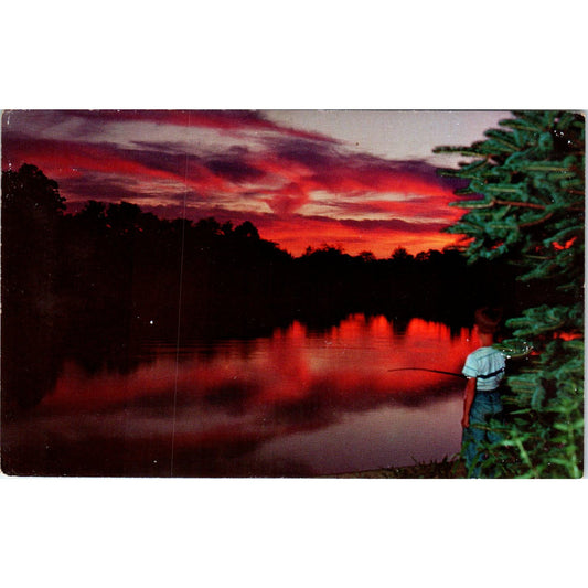 Farm Pond Fishing at Sunset PA Dutch Country Vintage Postcard PD1