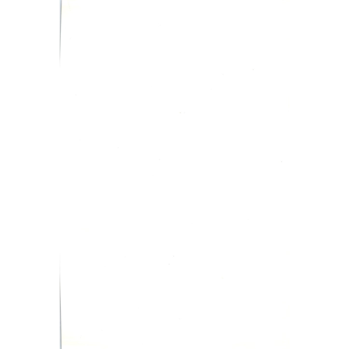 Shieldrake Bird 1903 Original Color Engraving Plate Print AD8-B5