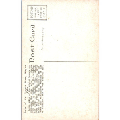 c1910 Gorge of the Niagara River, Niagara Falls Original Postcard PC10