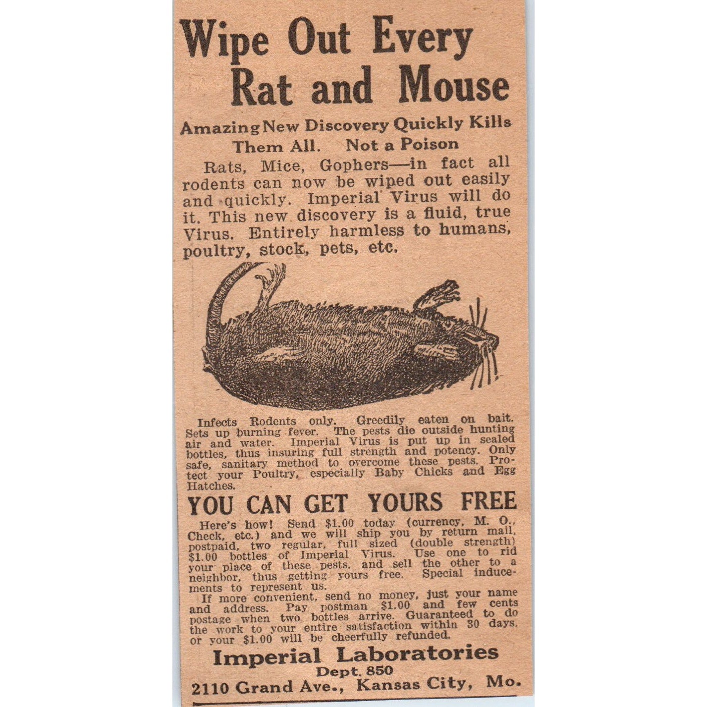 Imperial Laboratories Rat and Mouse Trap Kansas City MO 1922 Magazine Ad AF2-A5