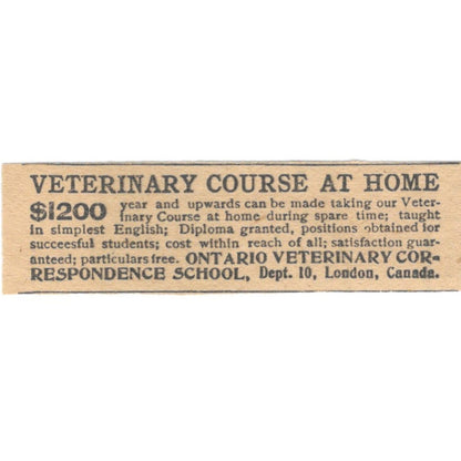 Ontario Veterinary Correspondence School London Canada 1910 Magazine Ad AF1-SS9