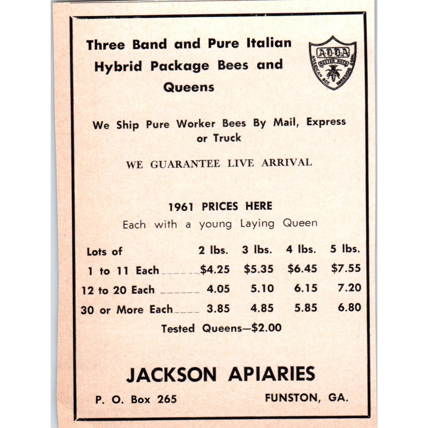 Package Bees Jackson Apiaries Funston Georgia 1961 Magazine Ad AB6-LB