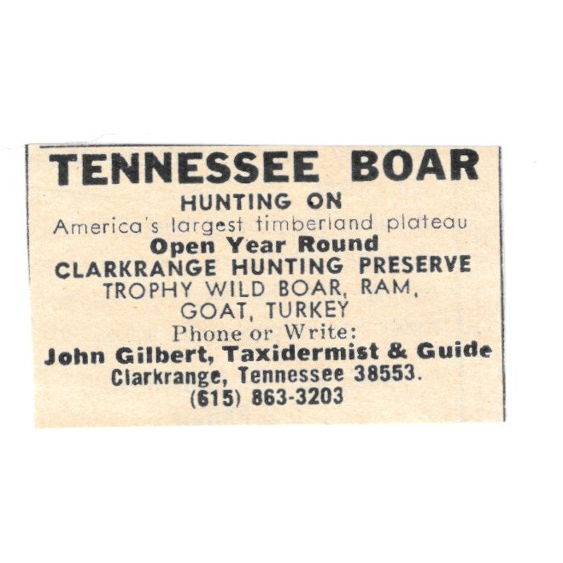 John Gilbert Taxidermist & Guide Clarkrange Hunting Preserve TN 1977 Ad AF6-S2