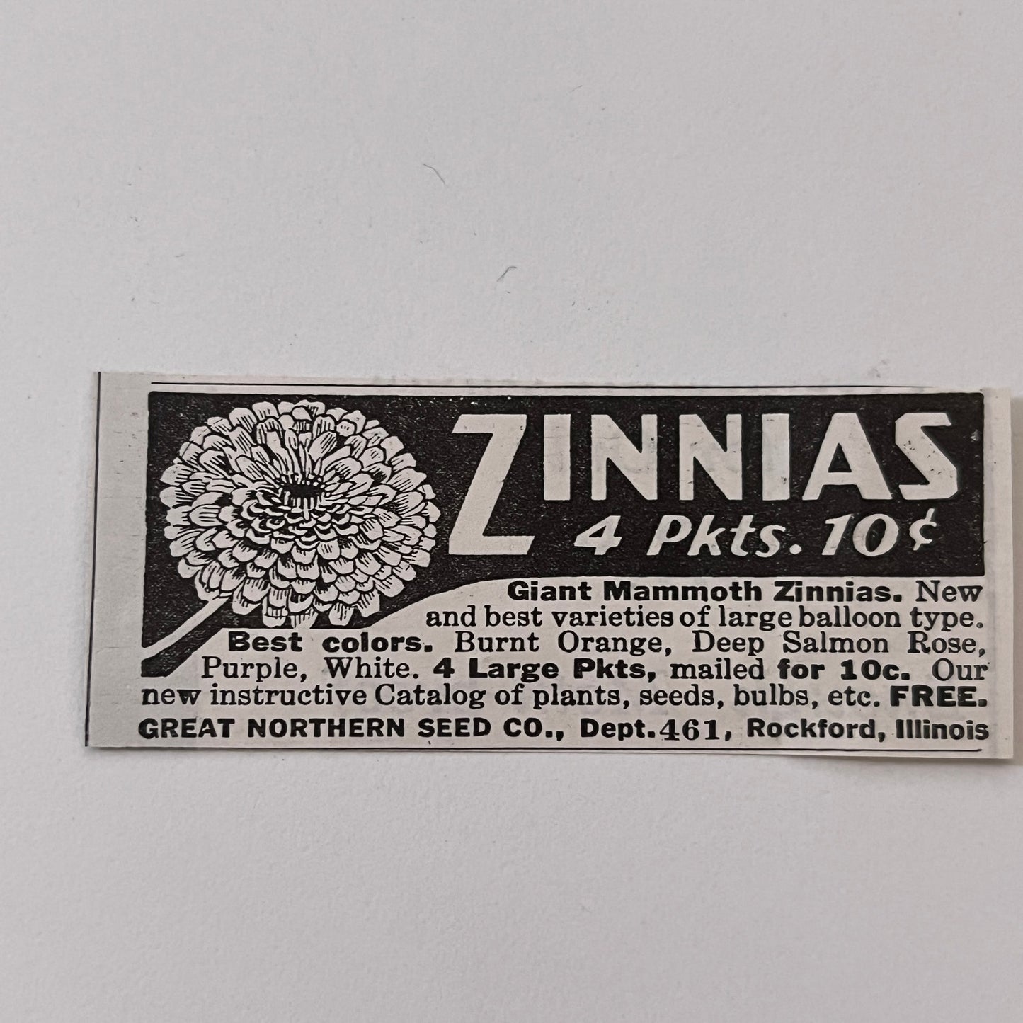 Great Northern Seed Co. Giant Mammoth Zinnias Rockford IL 1936 Ad SAG4-M4