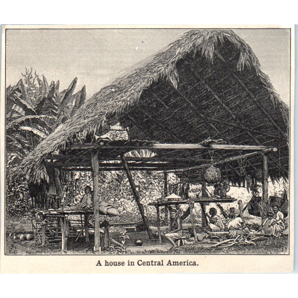 A House in Central America 1901 Engraving AF2-A6