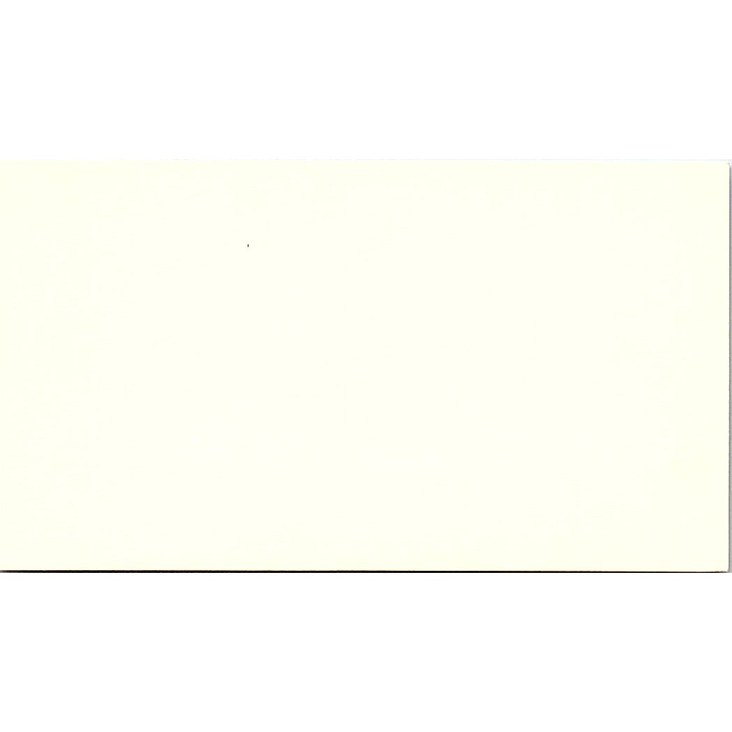 Deborah Steen AAA Auto Counselor Houston Vintage Business Card SE3-B15